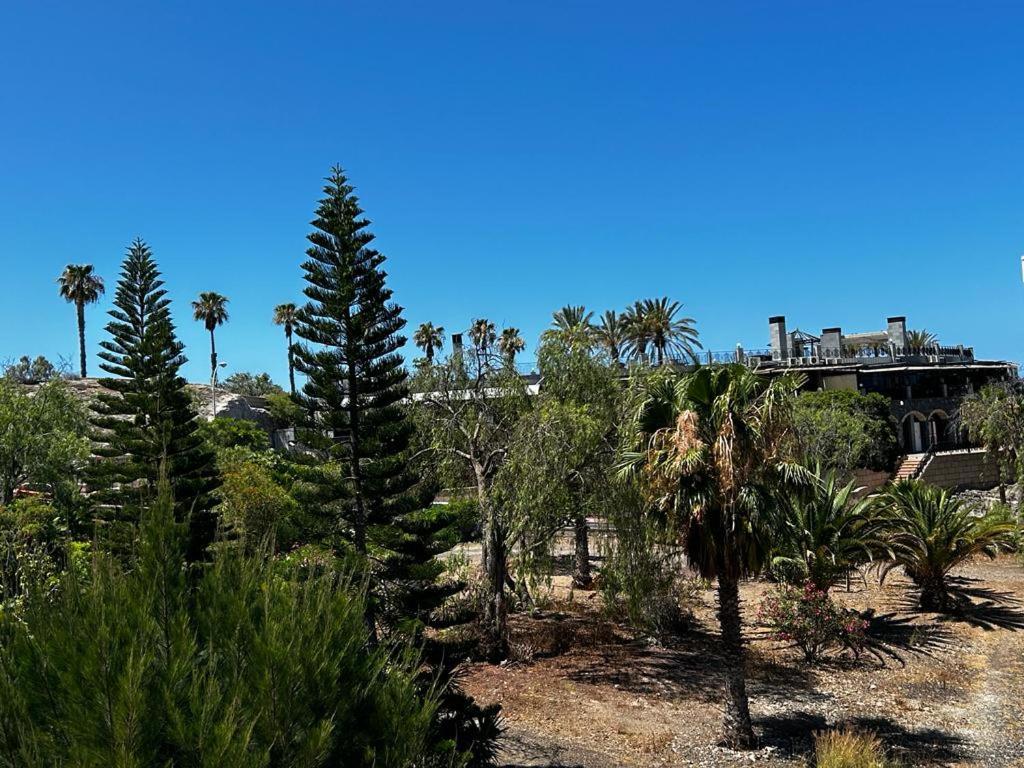 Villa Natali ,Luxury 3-Levels Large Villa On Tenerife, Ocean View, Private Poo L& Barbecue Area Costa Adeje  Kültér fotó
